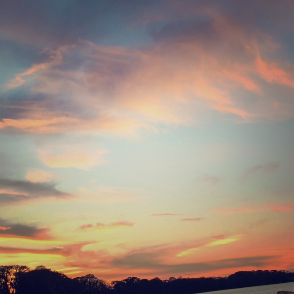 Meet your Posher, Nesey - Picture 1 of 1